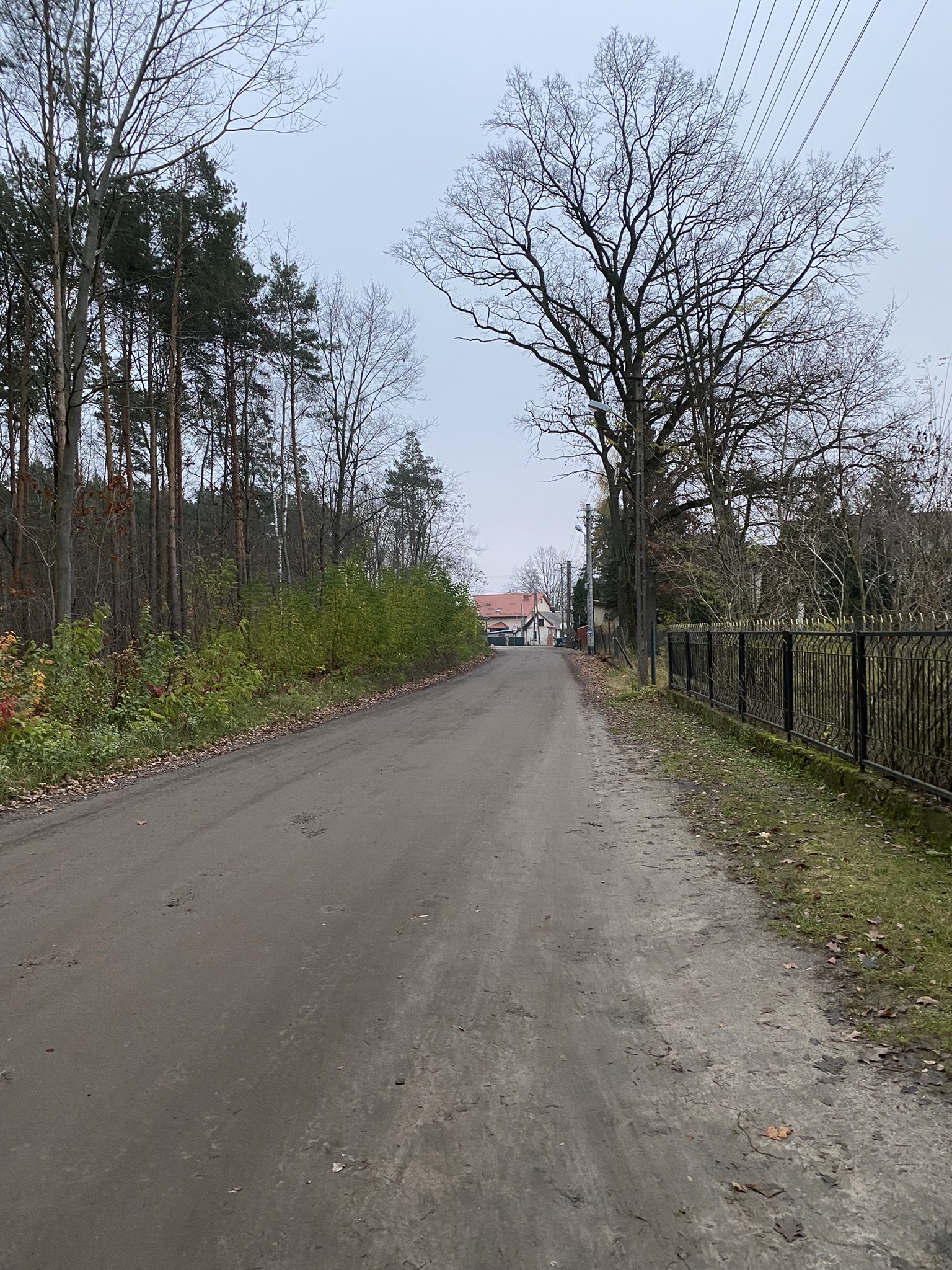 zdjęcie ul. Leśnej w Ostrówku