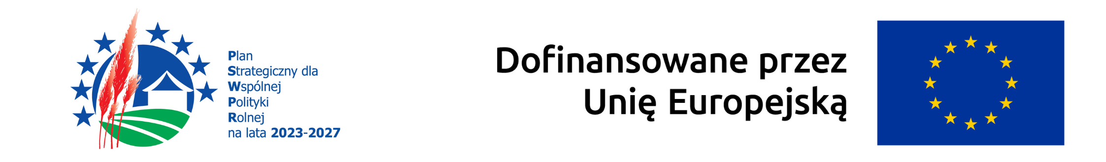 Logo PSWPR i UE
